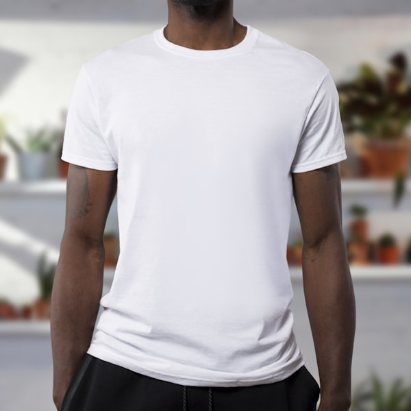 Lot 500 t-shirts neufs – Import Turquie